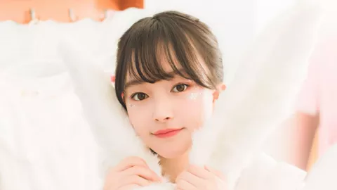 住房租赁条例2025主要内容