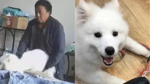 云南大理月溪村房东