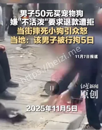 买狗退款遭拒将狗摔死男子被行拘