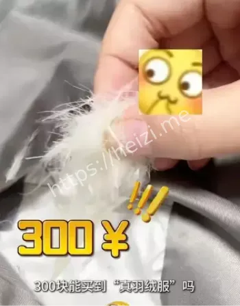 羽绒服市场造假黑幕