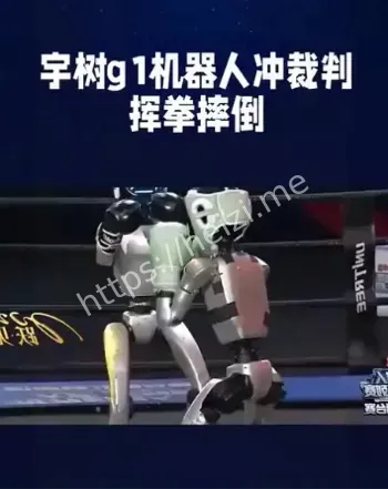 宇树G1机器人功夫表演翻车