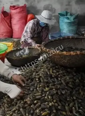 越边境特大槟榔走私